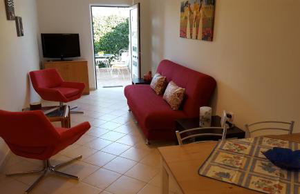 Patras Palm Tree - Foto 19