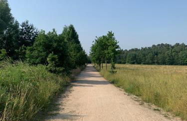 GÄSTEWOHNUNGEN AM SEE "Maisonette & Suite" - Foto 12