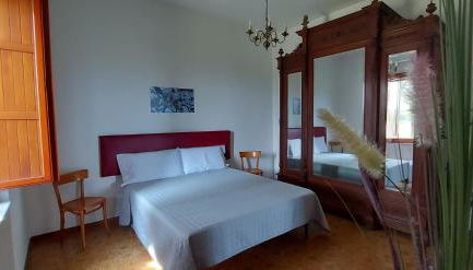 Olivo Macchia - Foto 5