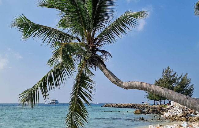 Excursión a las islas de Gulhi y Maafushi - Foto 1