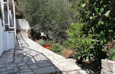 Apartman Olly - Photo 16