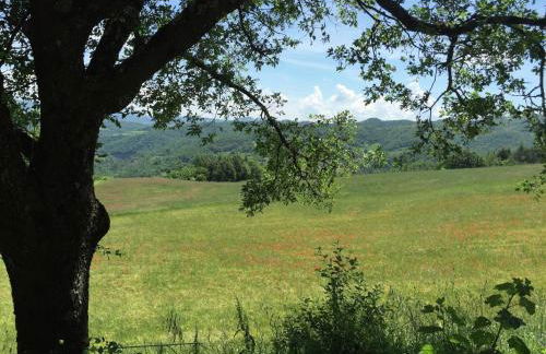 Farmhouse in Apecchio with Pool & Spa - Foto 27