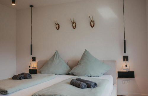 Schwarzwald Loft Panoramablick Menzenschwand - Foto 17