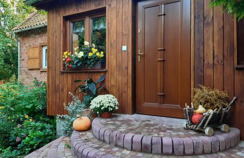 Dziki brzeg Jezioraka - Foto 16