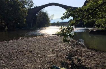 Konitsa Primula - Photo 22