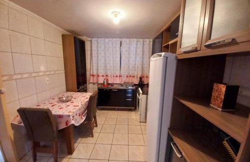 Serra Gaúcha Uva e Vinho 102 - Foto 10