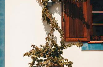 Casa da Bia - Foto 20