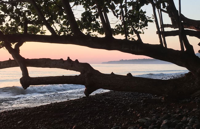 Devi's Place Tejakula - Foto 39