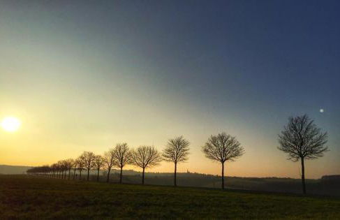 Altstadt Blieskastel, Gerbergasse - Photo 13