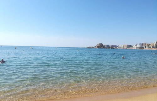 Apartamento Blanes Vela Port - Foto 12