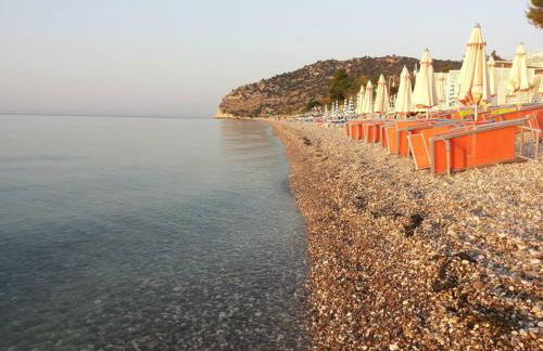 Residence Adriatico - Foto 20