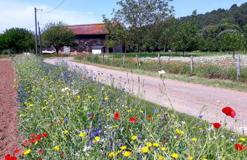 GÎTE DU BOUYSSOU - Foto 42