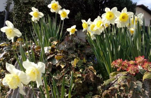 Como Ricky Apartment with parking nearby - Photo 21