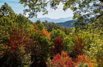 Red Apple Mountaintop cabin hot tub, WiFi, Pet friendly, Fireplace, pit, BEST VIEWS - Foto 36