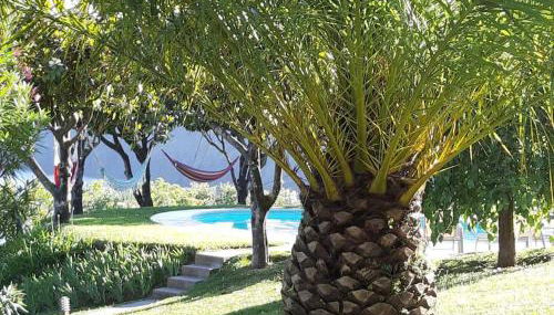 Douro Charming Chalet - Foto 5