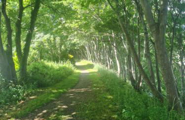 The Annexe at Tenniside - Foto 21