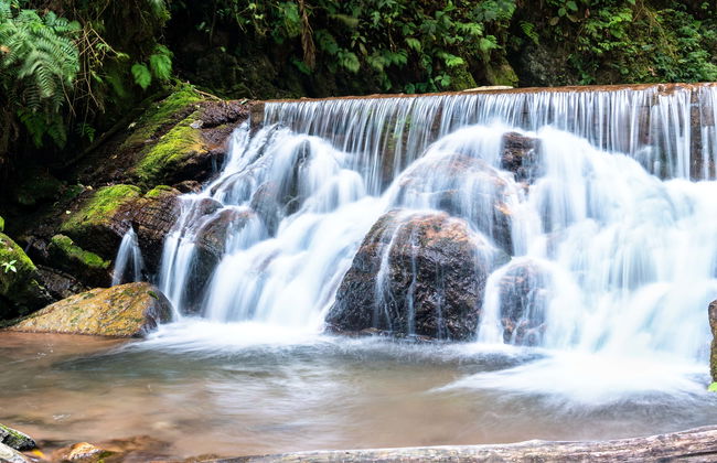 Tigre River Waterfall Tour - Photo 2