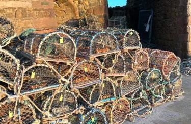 Rockview Beadnell - Perfect Family Retreat - Foto 13