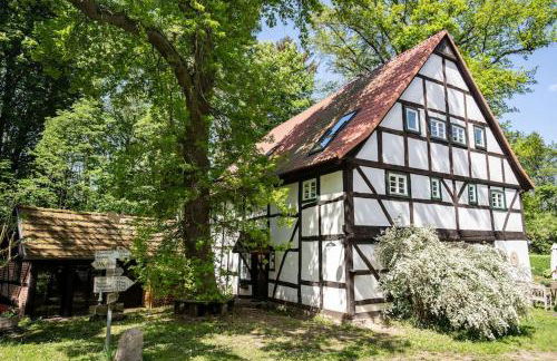 Wassermühle Triglitz - Alleinlage für Retreats, Workshops, Family & Friends - Foto 56