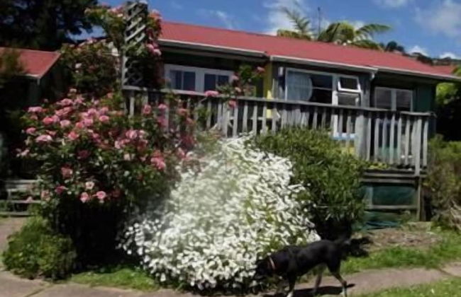 The Sandcastle - Foto 23