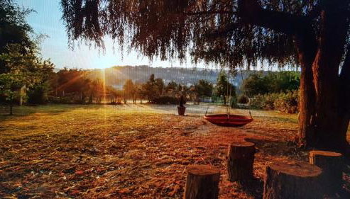 Apartman Barbara - Foto 2, Garden view