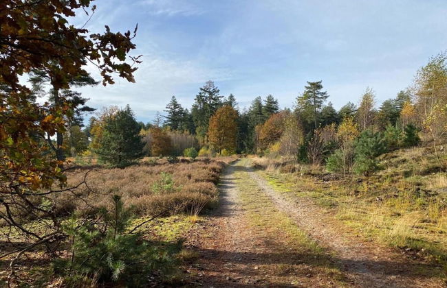 Cottage in Leenderbos Near Nature Reserve - Photo 36