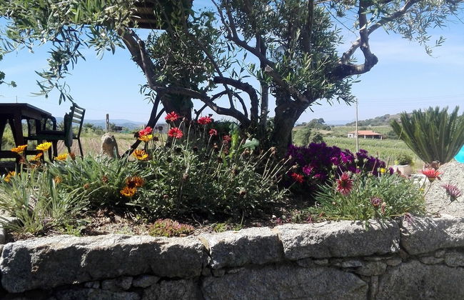 Agriturismo B&B Domo De Resteblas - Foto 41