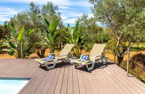 Fazenda Viegas - Foto 43