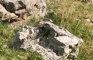 Liesl & Sepp - Photo 20