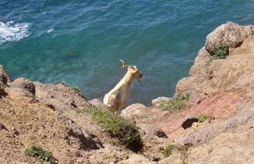 Casa L'ANGOLO FIORITO - Foto 19