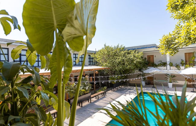 Soy Local Santa Marta - Foto 43