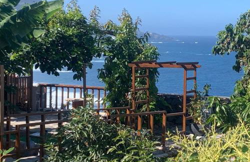 La Era de Catuja - Foto 8