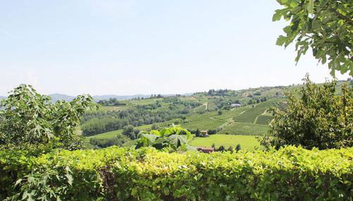 CA' DIJ SARACH - Foto 3