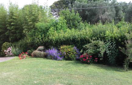 Poggio al Tesoro Crespina Pisa - Foto 18