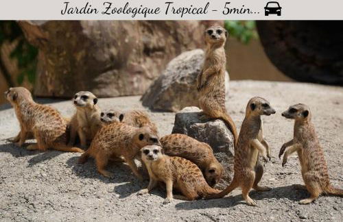 SPÉCIAL COUPLE & FAMILLE - Lit Queen Size - NETFLIX - Climatisation - Terrasse Plein Sud - 2 min Centre-Ville - 6 min Mer - Wifi 400 Mbits Parking privé - OFFRE SPÉCIALE - Foto 23