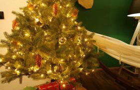 Green Loft Schwarzwald - Dach-Balkon--Musik-Ecke - Foto 28