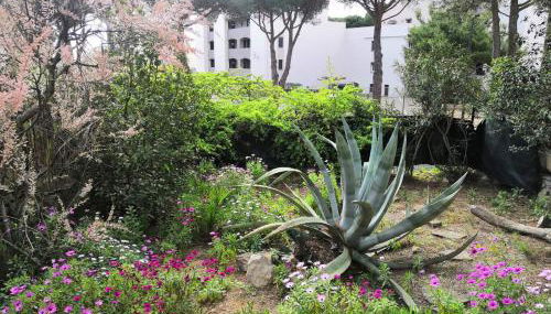 Gruissan: Maisonnette T2 avec jardin - Foto 2, Garden view