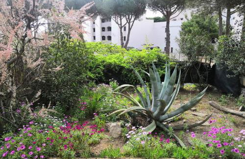 Gruissan: Maisonnette T2 avec jardin - Photo 2