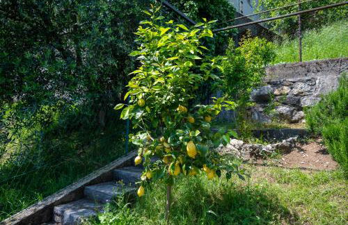 Italian Vacation Homes - Garden Lake Iseo - Foto 45