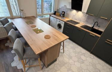 BedinReims elegant green bottle quiet and close to center free parking and wifi free ideal 5 à 9 Adultes - Foto 1