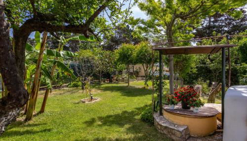 Long Green House - Photo 3, Garden