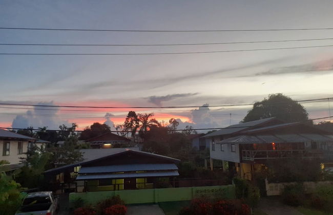 Max Garden and Pool - Photo 61