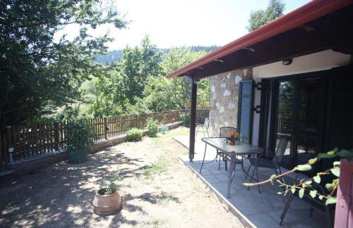 Boletus MushROOM - Foto 20