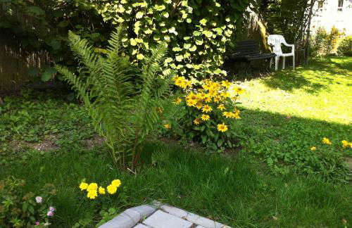 Ferienwohnungen Haus Sauer - Foto 11