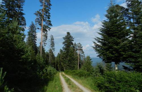 Ferienwohnungen in Schönmünzach - Photo 27