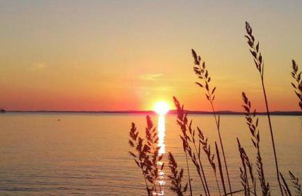 Ferienwohnung "Hinterland" - Foto 19