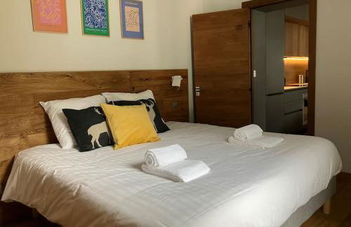 Magnifique Appartement au Centre de Chamonix - Photo 21