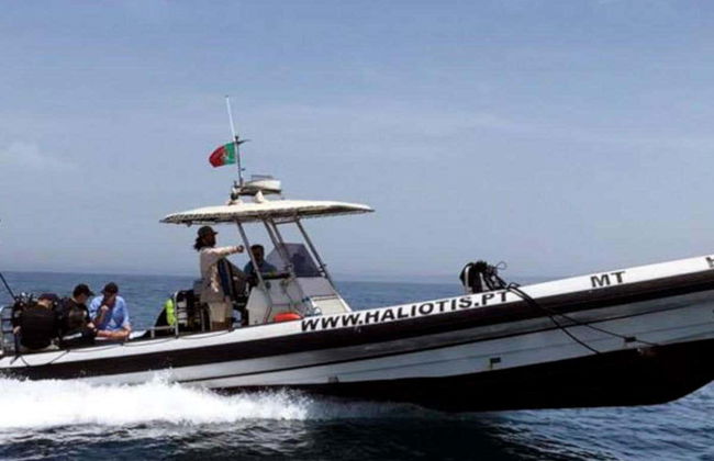 Snorkeling dans le Parc Naturel de l'Arrábida - Photo 2