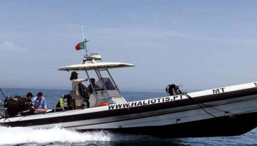 Snorkel en el Parque Natural de Arrábida - Foto 3