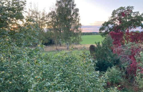 Gästehaus Lauerwald - Foto 22